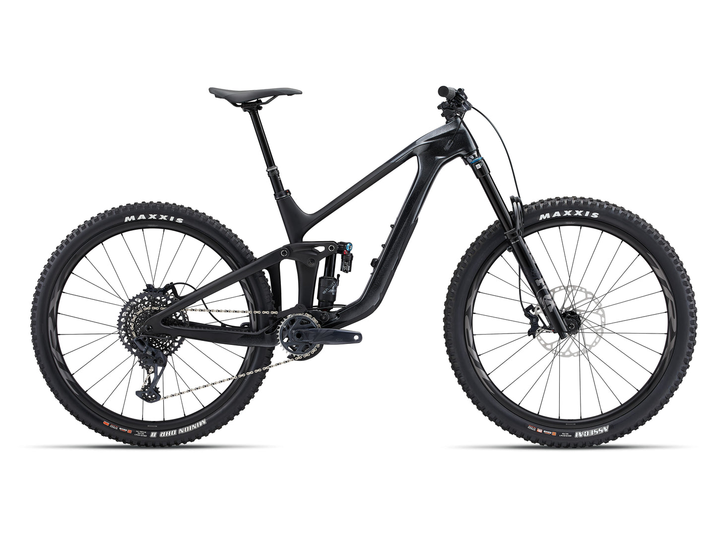 Reign Advanced Pro 1