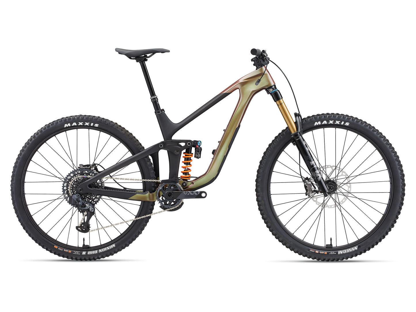 Reign Advanced Pro 0